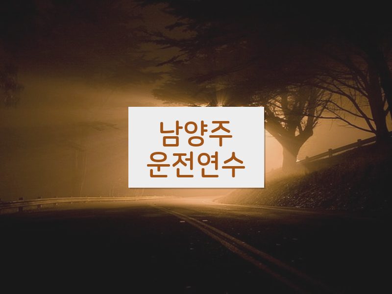 남양주운전연수 후기