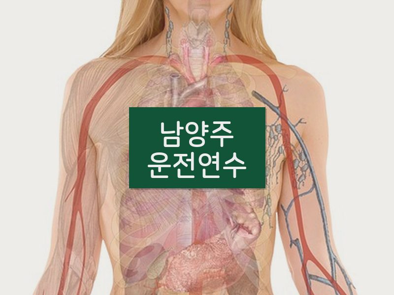 남양주운전연수 후기