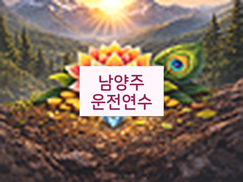 남양주운전연수 후기