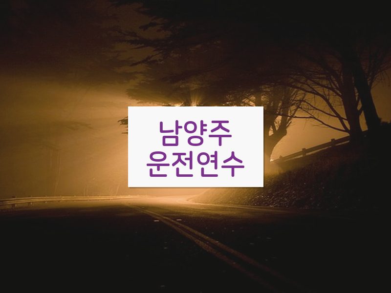남양주운전연수 후기