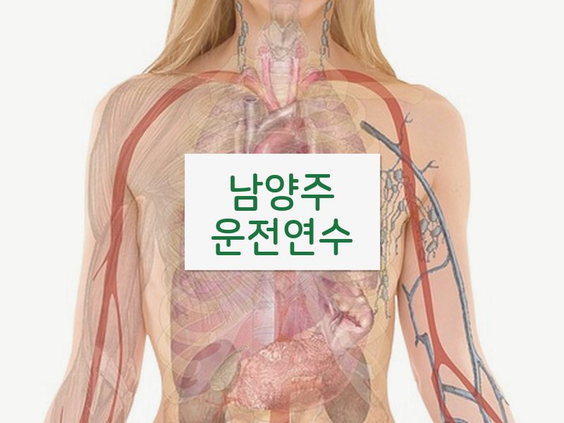 남양주운전연수 후기