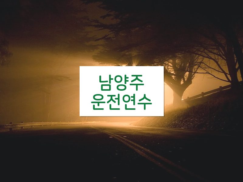 남양주운전연수 후기