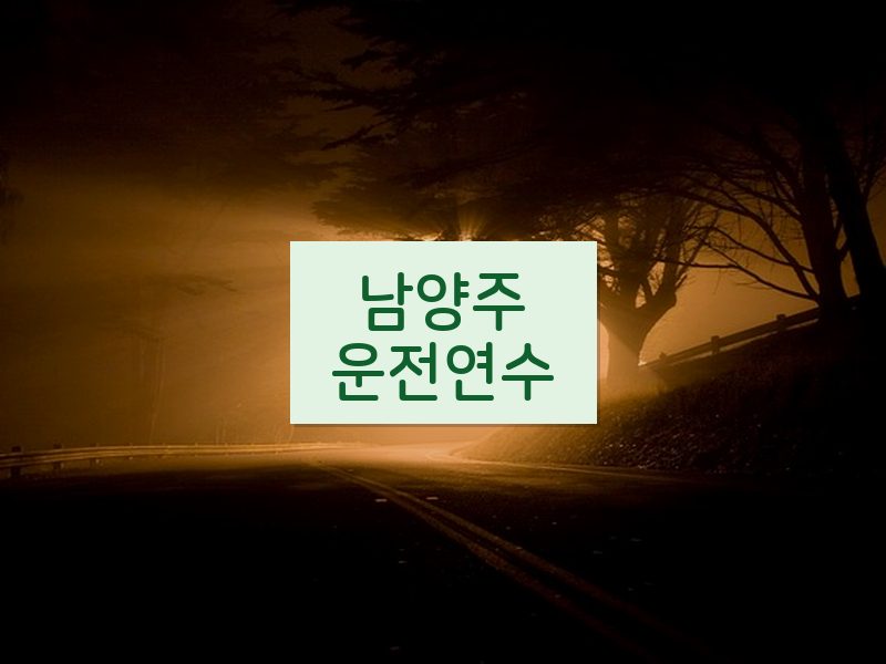 남양주운전연수 후기