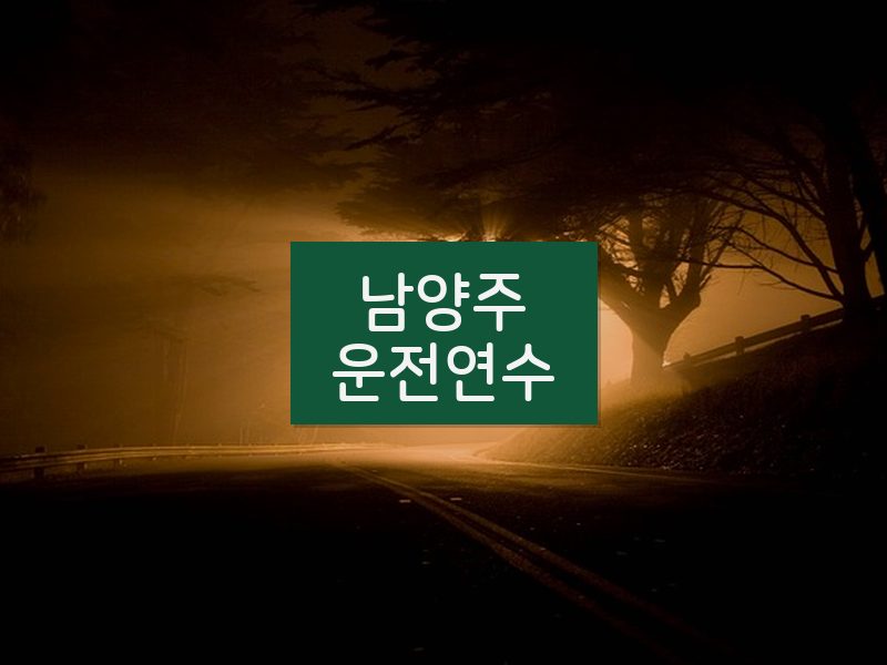 남양주운전연수 후기