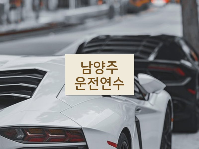 남양주운전연수 후기