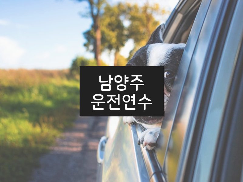 남양주운전연수 후기
