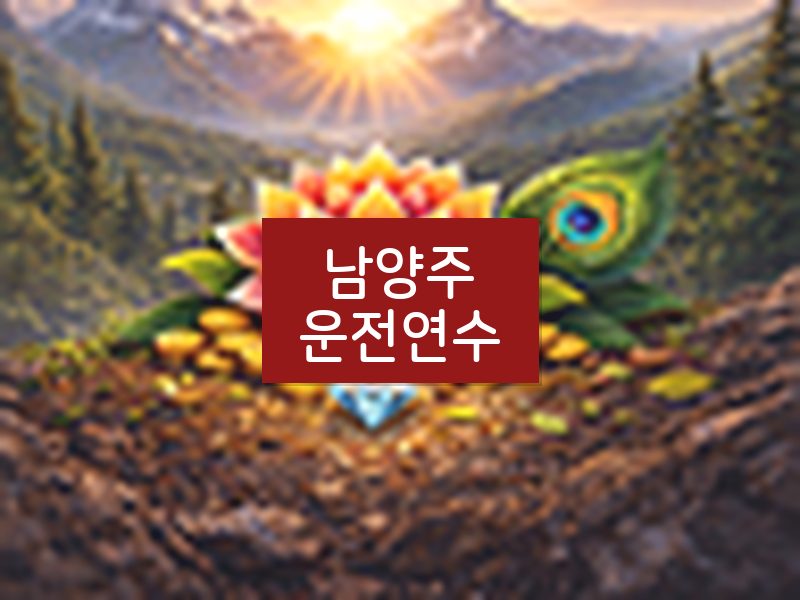 남양주운전연수 후기