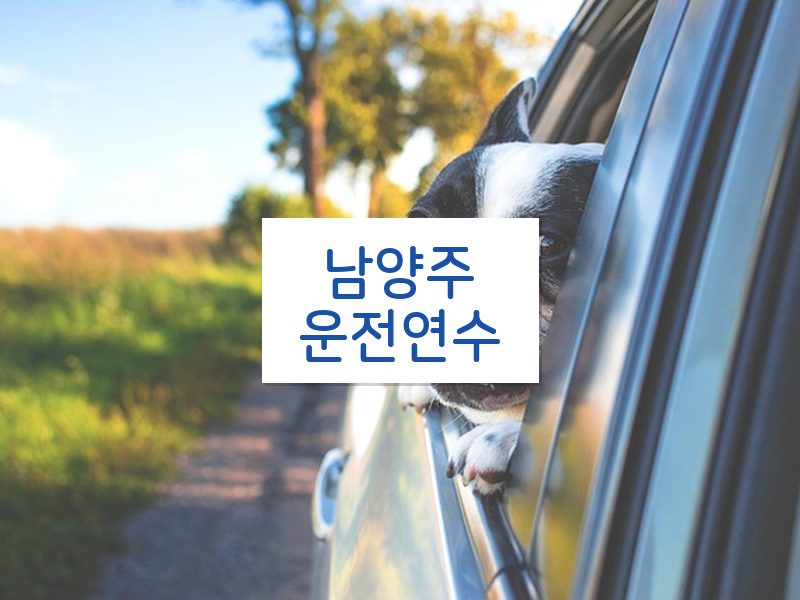 남양주운전연수 후기