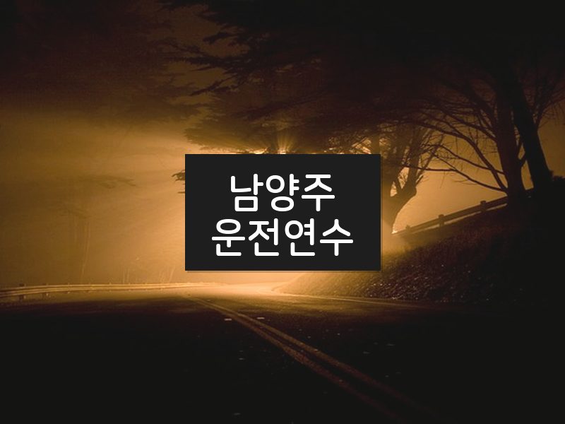 남양주운전연수 후기