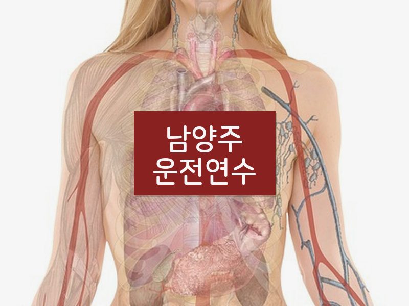 남양주운전연수 후기