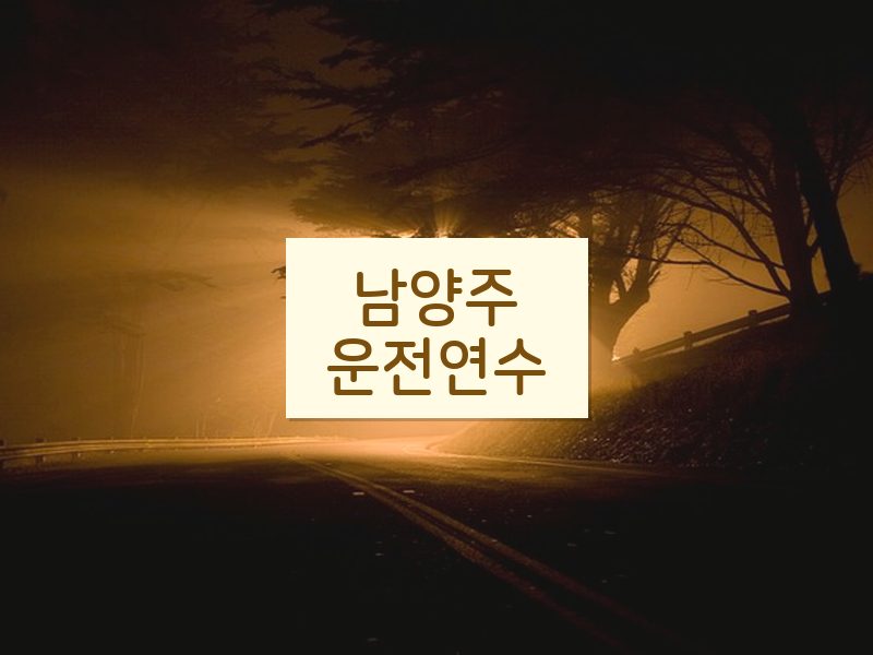 남양주운전연수 후기