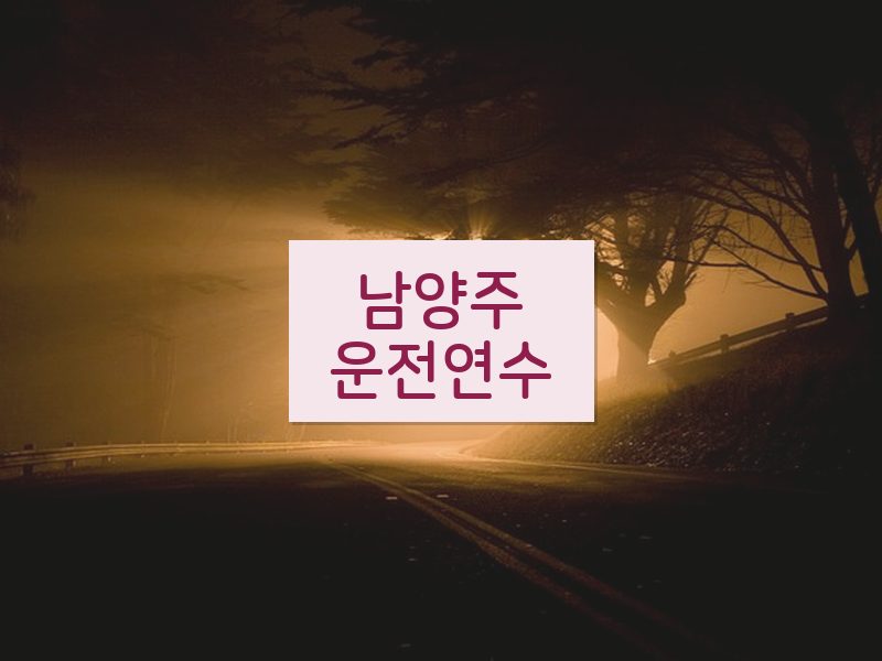 남양주운전연수 후기
