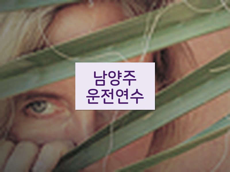 남양주운전연수 후기