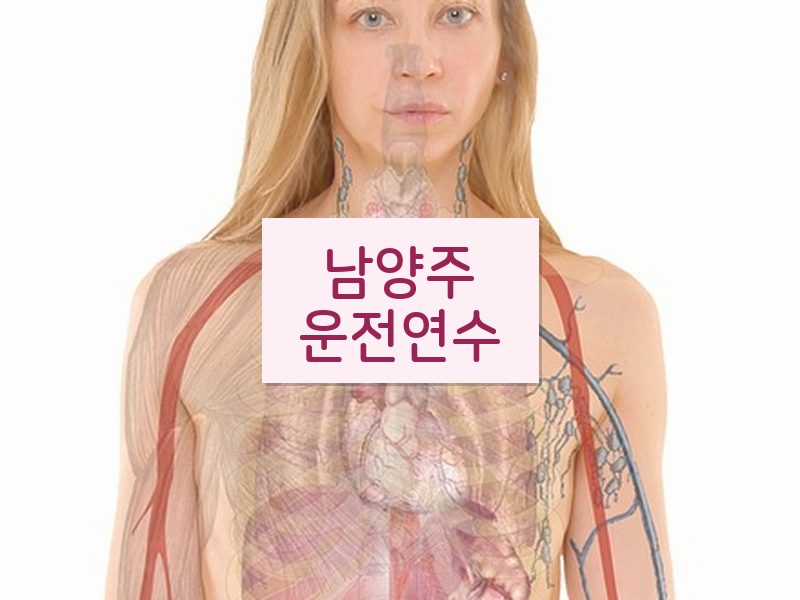 남양주운전연수 후기