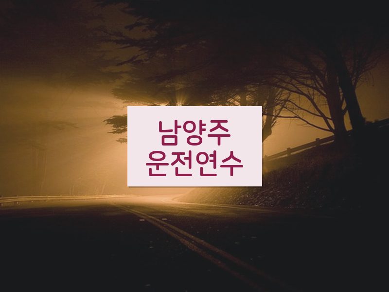 남양주운전연수 후기