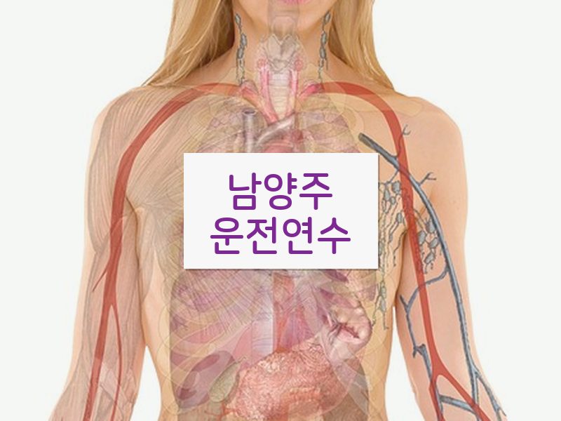 남양주운전연수 후기