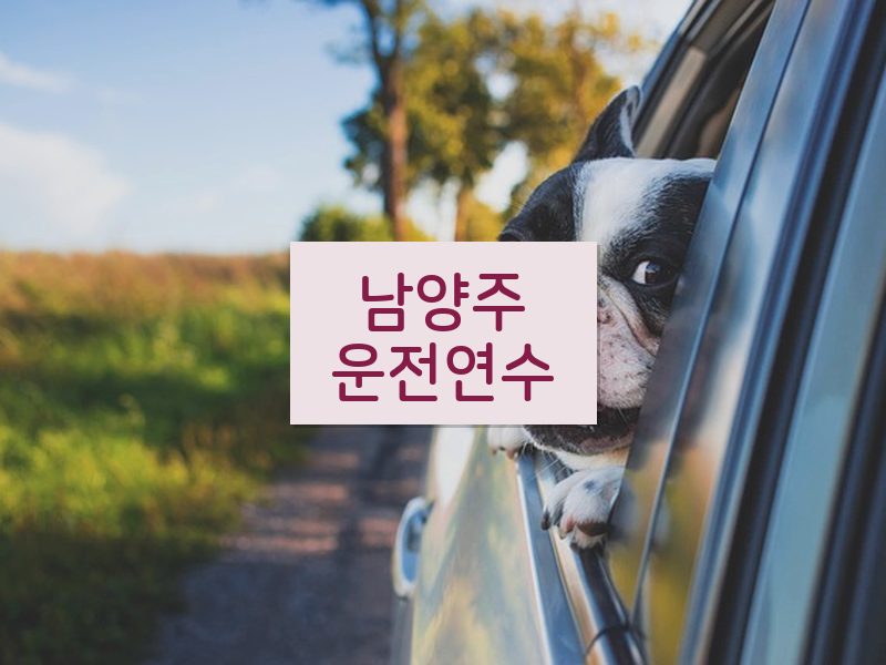 남양주운전연수 후기