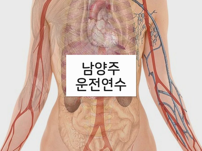 남양주운전연수 후기