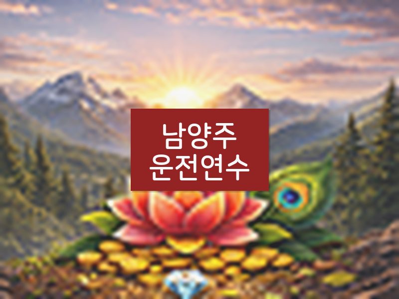 남양주운전연수 후기