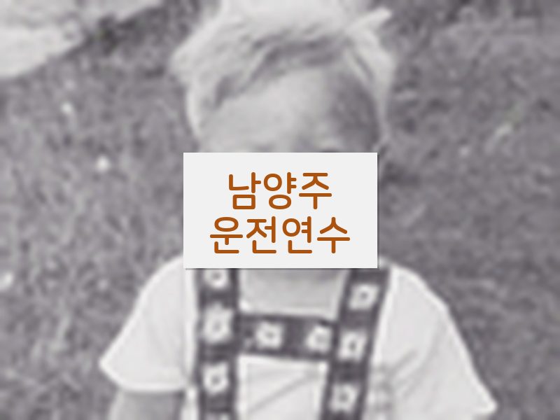 남양주운전연수 후기