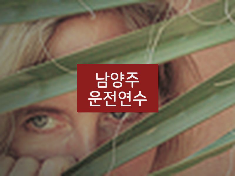 남양주운전연수 후기