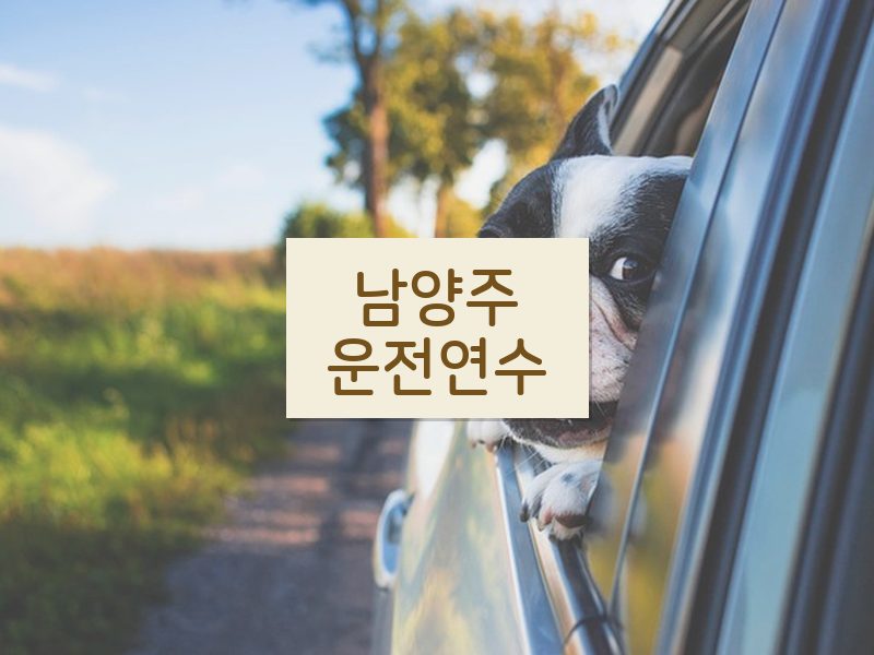 남양주운전연수 후기