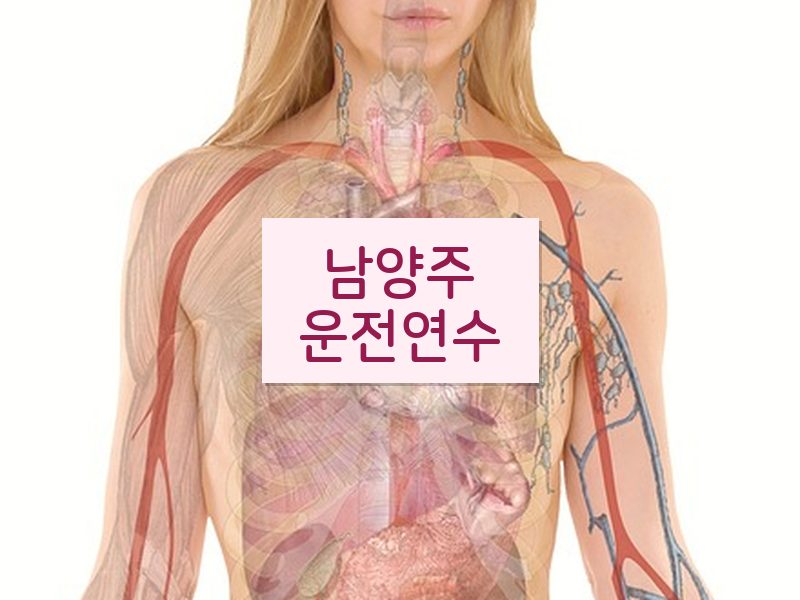 남양주운전연수 후기