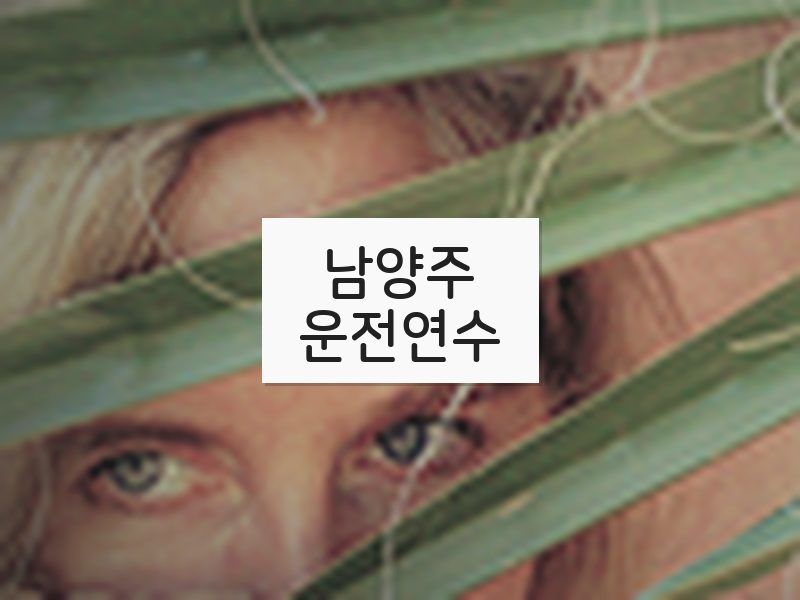 남양주운전연수 후기