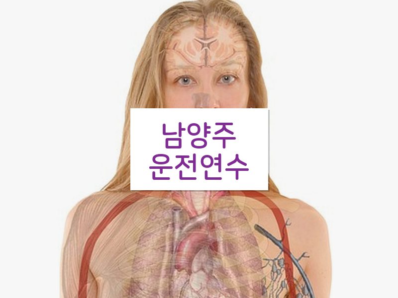 남양주운전연수 후기