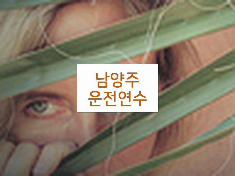 남양주운전연수 후기