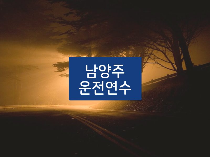 남양주운전연수 후기