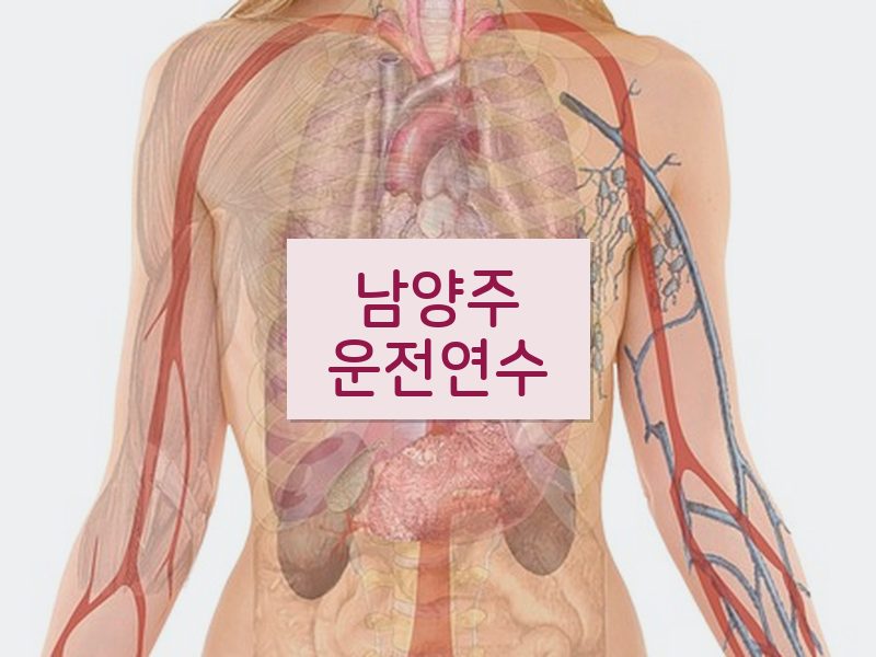 남양주운전연수 후기