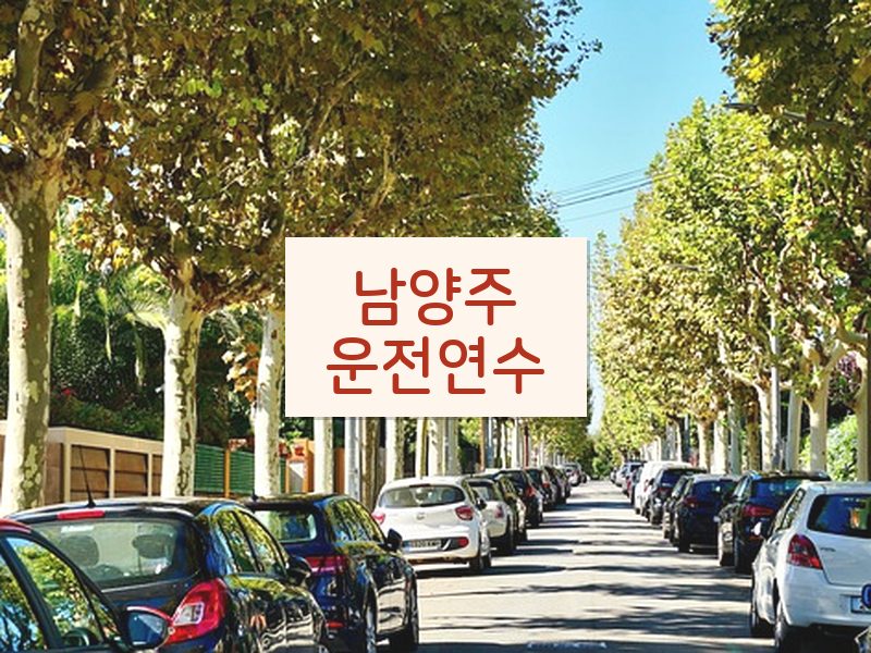 남양주운전연수 후기