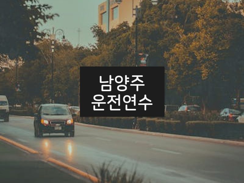 남양주운전연수 후기