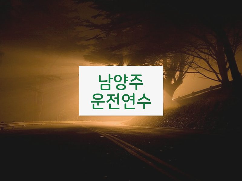남양주운전연수 후기