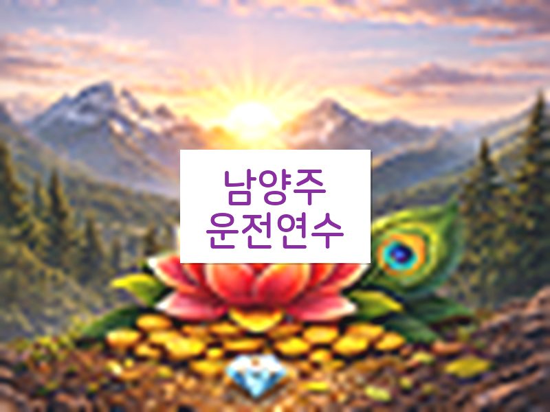 남양주운전연수 후기