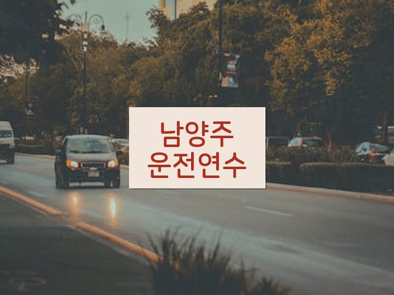 남양주운전연수 후기