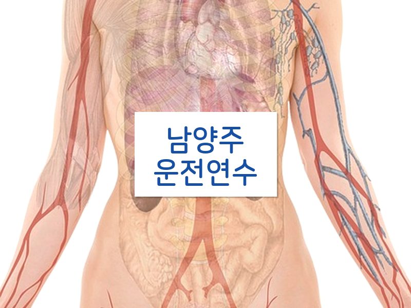 남양주운전연수 후기
