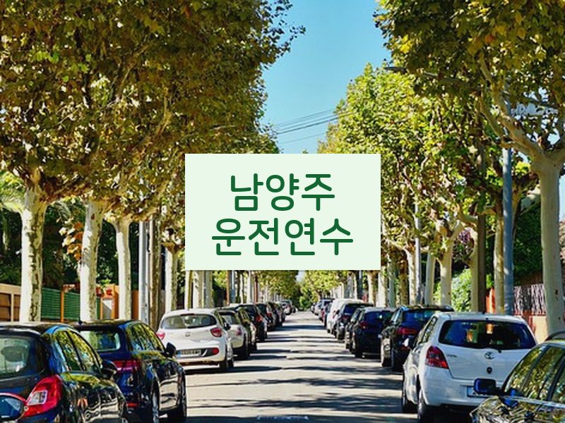 남양주운전연수 후기
