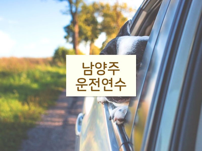 남양주운전연수 후기