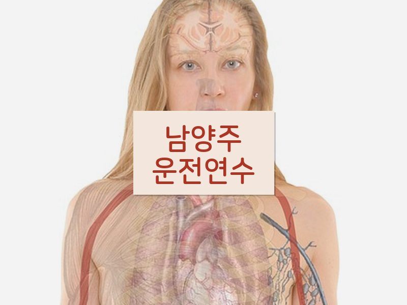 남양주운전연수 후기