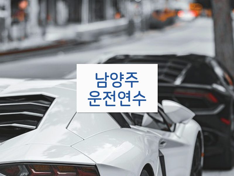 남양주운전연수 후기