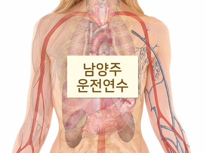 남양주운전연수 후기