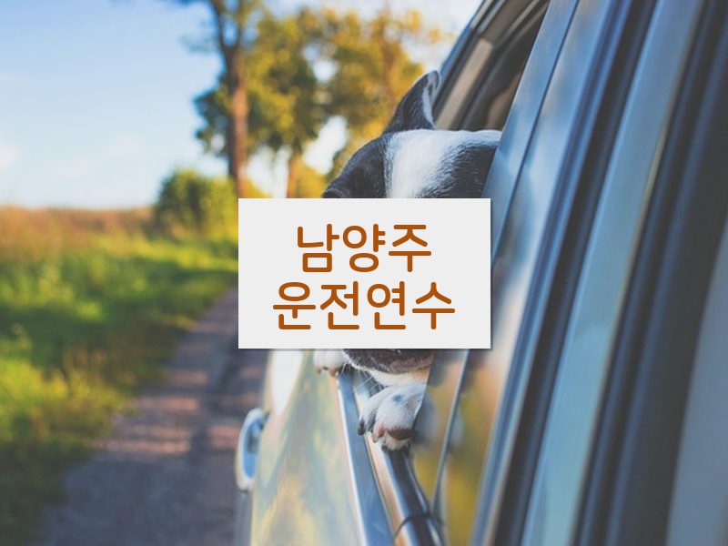 남양주운전연수 후기