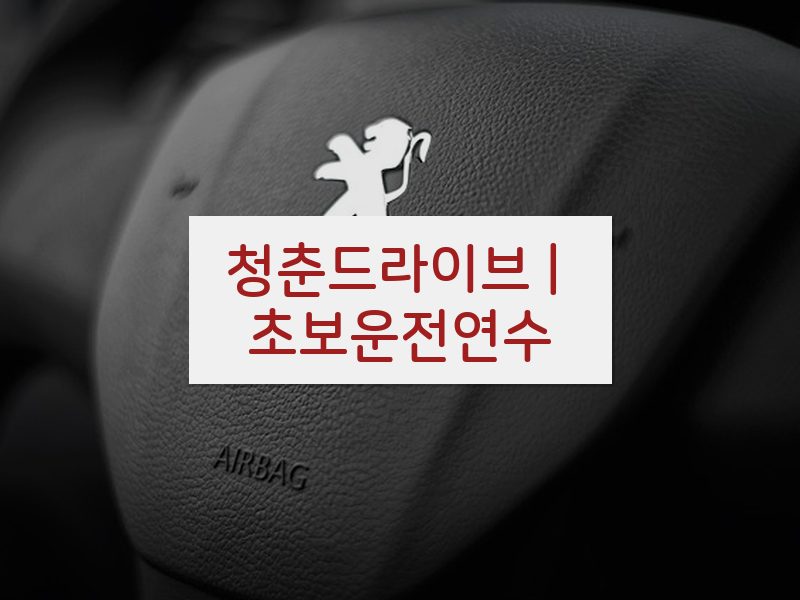 청춘드라이브 | 초보운전연수 후기