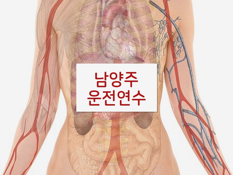 남양주운전연수 후기