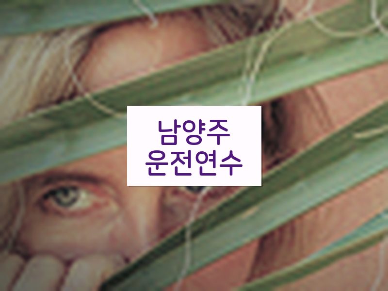 남양주운전연수 후기