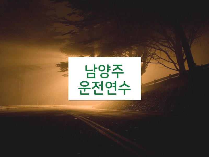 남양주운전연수 후기