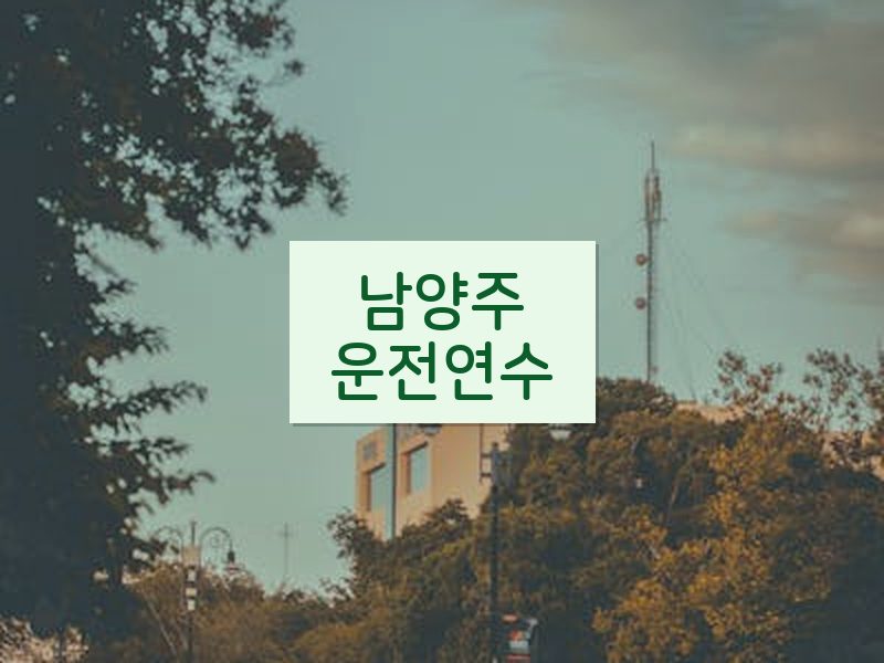 남양주운전연수 후기