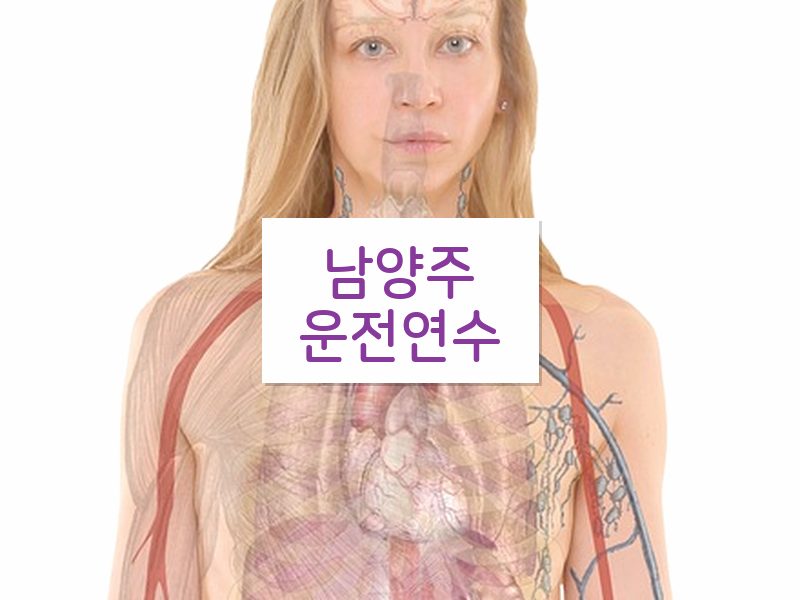 남양주운전연수 후기